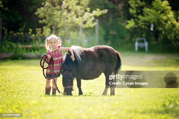 cute little blond girl with arm around black pony. - black pony stock pictures, royalty-free photos & images