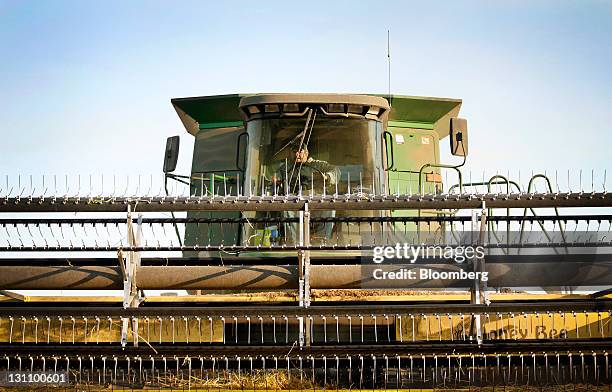 Calrose Rice Staters 15 Calrose Rice Stock Photos, High-Res Pictures, and Images - Getty Images