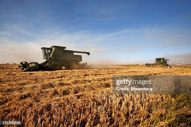 Calrose Rice Staters Calrose Rice Photos and Premium High Res Pictures - Getty Images