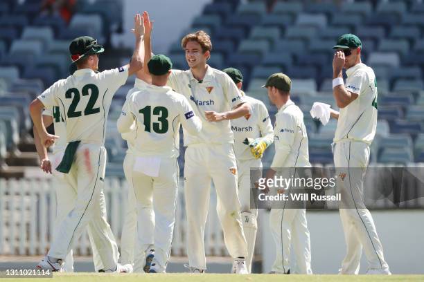 Lawrence Neil-Smith of the Tigers celebrates the wicket of Shaun Marsh of the Warriors during day four of the Sheffield Shield match between Western...