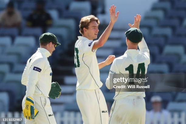 Lawrence Neil-Smith of the Tigers celebrates the wicket of Ashton Agar of the Warriors during day four of the Sheffield Shield match between Western...