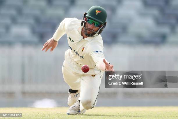 Matthew Wade of the Tigers attempts to takes a catch to dismiss the ball during day four of the Sheffield Shield match between Western Australia and...