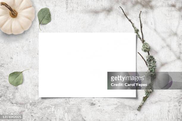 paper blank, eucalyptus branches - kitchen bench top stock pictures, royalty-free photos & images