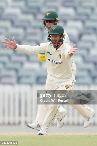 Matthew Wade of the Tigers reacts after Jarrod Freeman of the Tigers takes the wicket of Joel Paris of the Warriors during day four of the Sheffield...