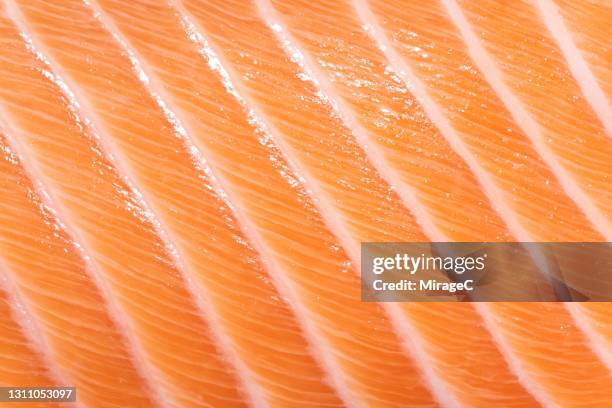 atlantic salmon belly - salmon foto e immagini stock