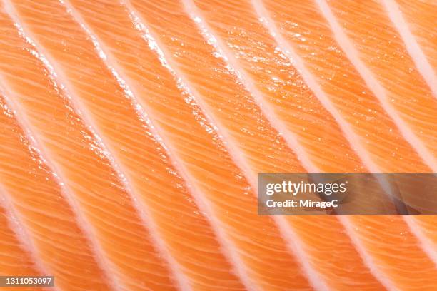 atlantic salmon belly - omega 3 stockfoto's en -beelden