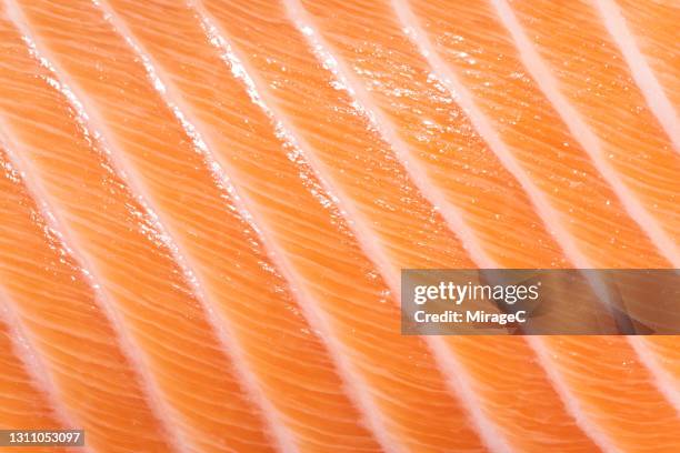atlantic salmon belly - fresh seafood 個照片及圖片檔