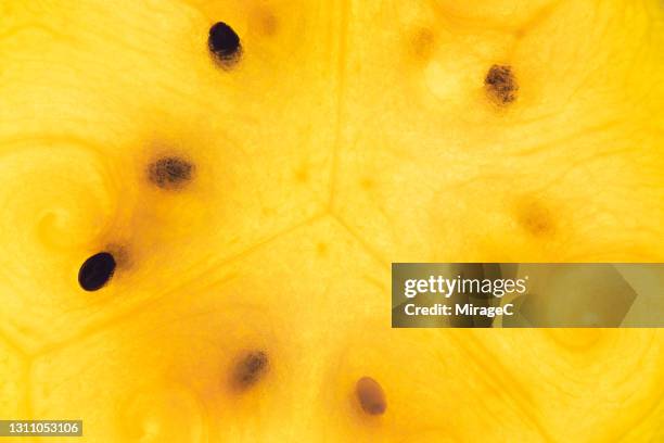 yellow-flesh watermelon slice close-up - fruit flesh stock pictures, royalty-free photos & images