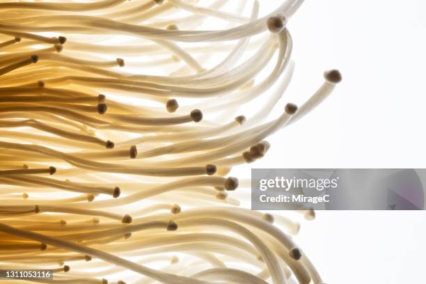 enoki mushroom on white - enoki mushroom stock pictures, royalty-free photos & images