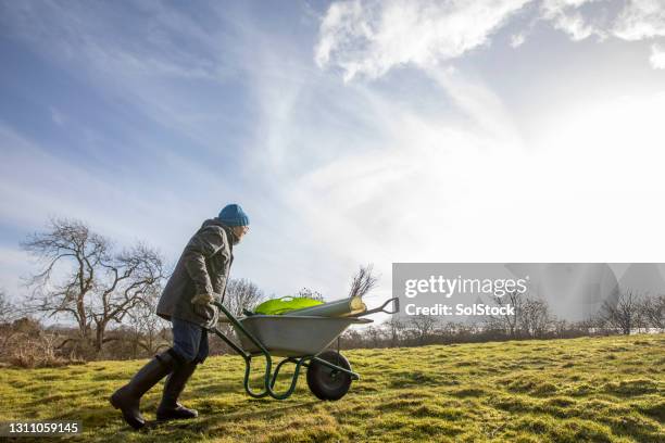 bijna daar! - kruiwagen stockfoto's en -beelden