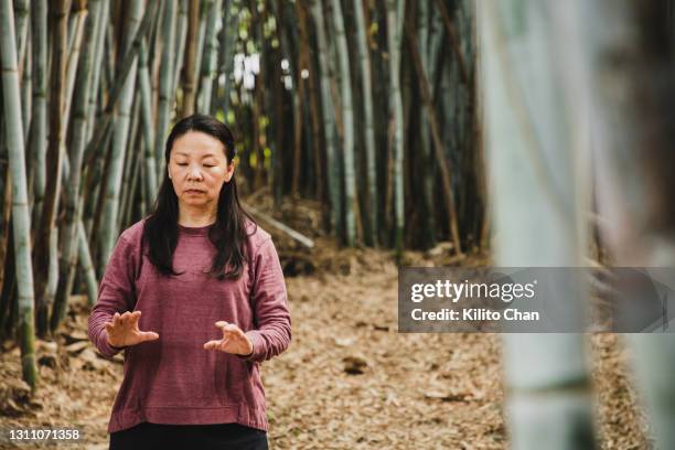 senior asian woman practicing tai chi in a bamboo forest - woman and tai chi stock pictures, royalty-free photos & images