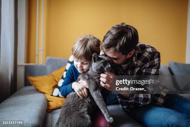 father and daughter cuddling and hugging cat at home - russian blue cat stock pictures, royalty-free photos & images