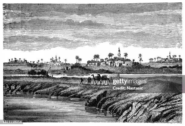 delta of river nile 19th century - nile delta stock illustrations