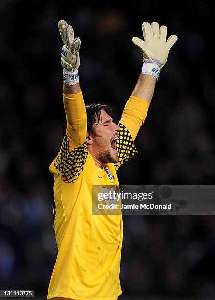 Laszlo Koteles of KRC Genk celebrates saving the penalty kick of David Luiz of Chelsea during the UEFA Champions League Group E match between KRC...