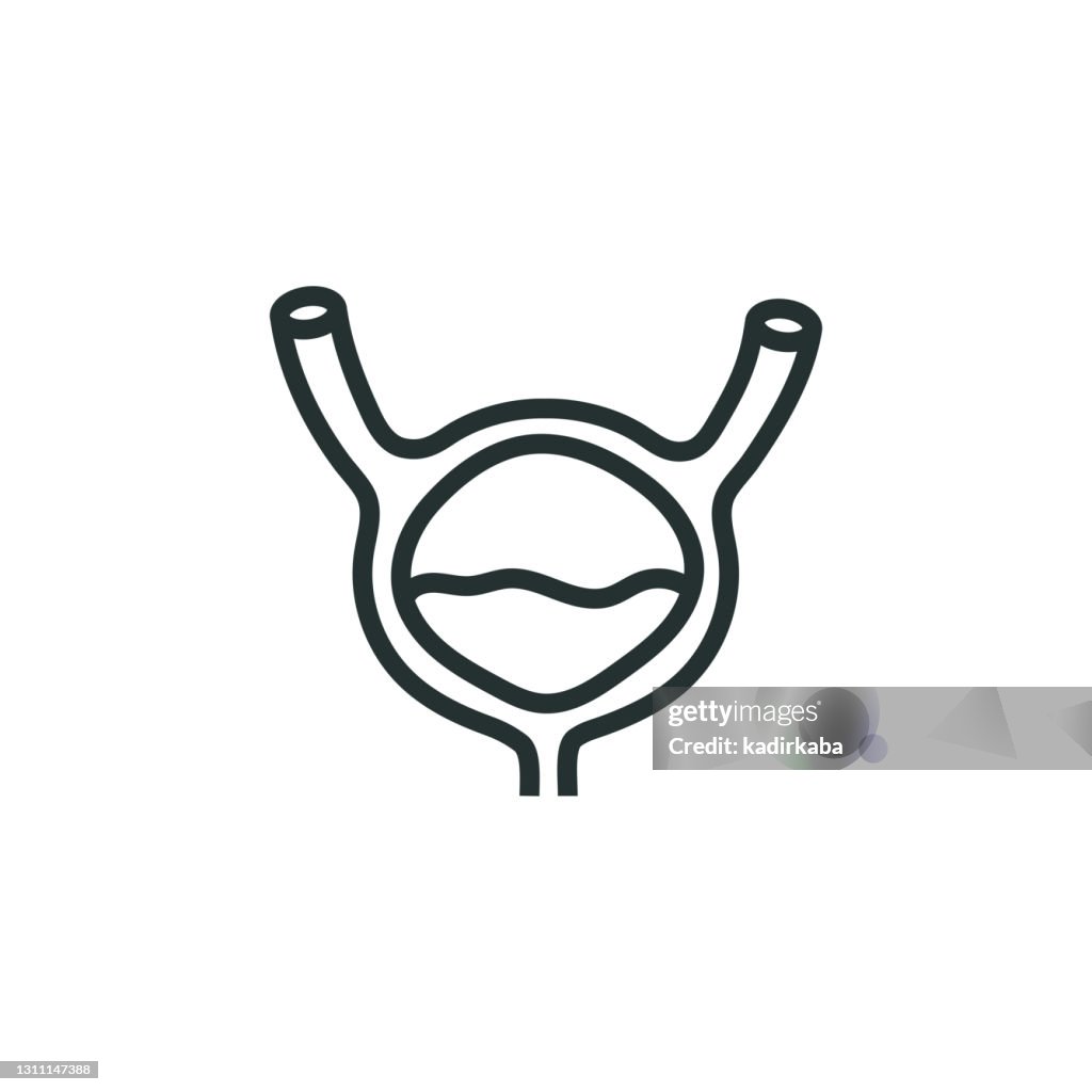 Bladder Line Icon