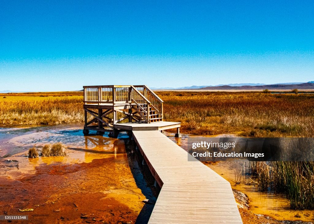Nevada, Black Rock Desert, Fly Geyser a Rainbow of Colors