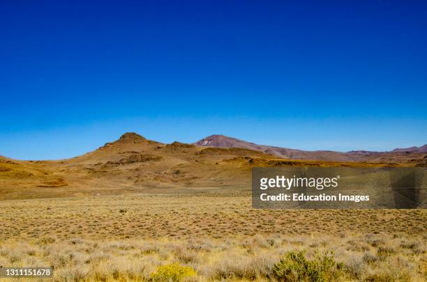 North America, USA, California, Black Rock Desert, Sagebrush and Calico Mountains from SR 34.
