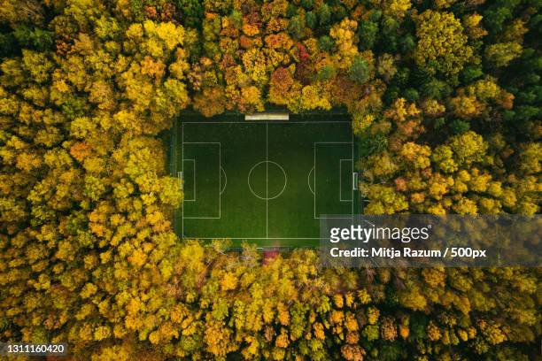 aerial view of soccer field in the middle of an autumn forest,russia - aerial view of football field stockfoto's en -beelden