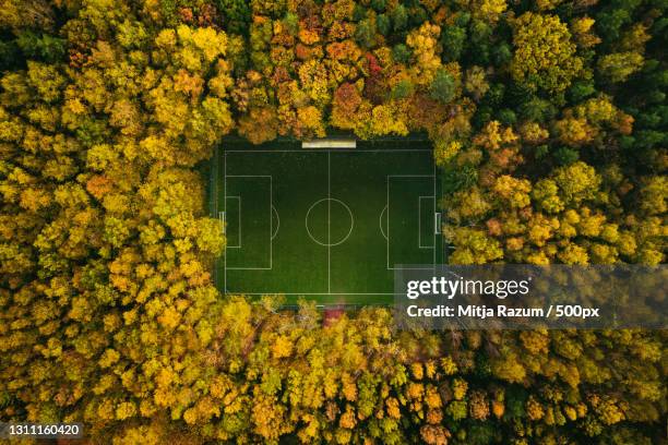 aerial view of soccer field in the middle of an autumn forest,russia - aerial view of football field imagens e fotografias de stock