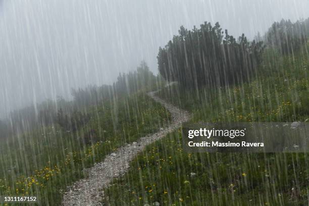 mountain path on a rainy day - torrential rain foto e immagini stock