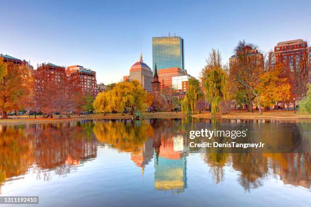 otoño en boston - jardín público de boston fotografías e imágenes de stock