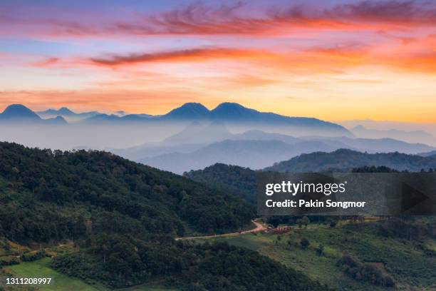 beautiful sunset landscape nature flower at tung bua tong mexican sunflower field - u.s. department of the interior stock pictures, royalty-free photos & images