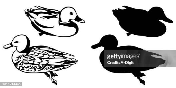 mallard ducks male and female ink - floating on water stock illustrations
