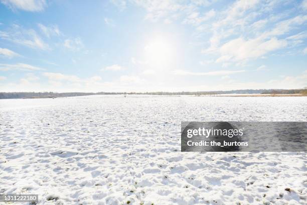 snow covered field against sky and sunlight, rural scene - winter meadow stock pictures, royalty-free photos & images