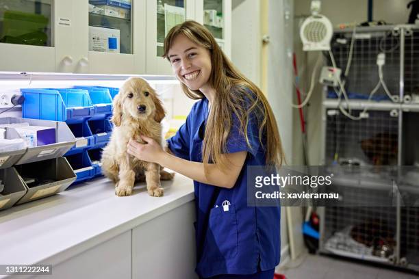 retrato cándido de técnico veterinario femenino con cachorro - veterinary surgery fotografías e imágenes de stock