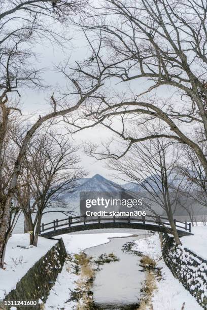 beautiful winter landscape and brunch of the dry trees cover by fallen snow - mount yotei bildbanksfoton och bilder