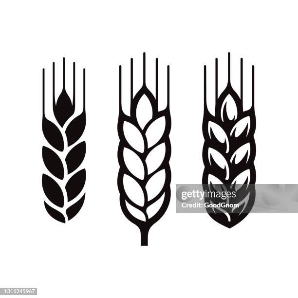 wheat ear set - rye - grain stock illustrations