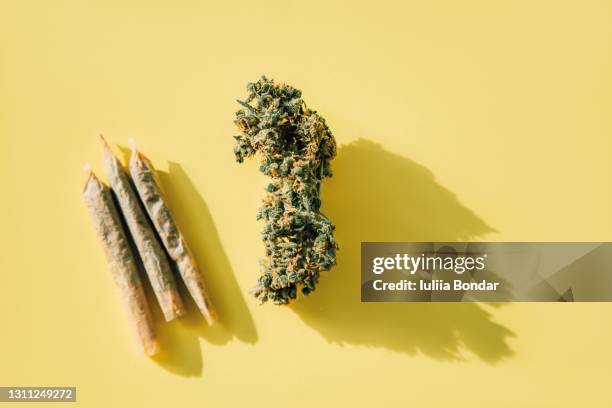 cannabis on yellow background - cannabis store stock pictures, royalty-free photos & images