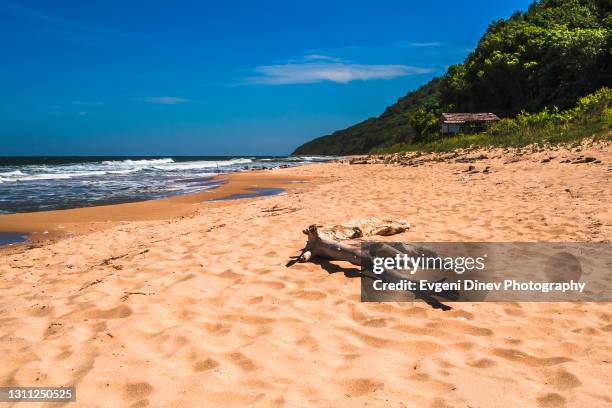 Irakl 40 Irakli Beach Stock Photos, High-Res Pictures, and Images - Getty Images