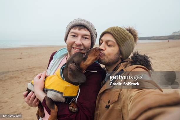 puppy kisses - casal gay imagens e fotografias de stock