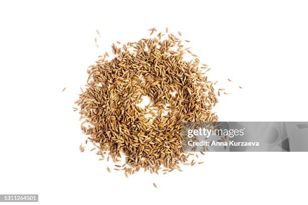 dried cumin isolated on white background - cumin stock pictures, royalty-free photos & images