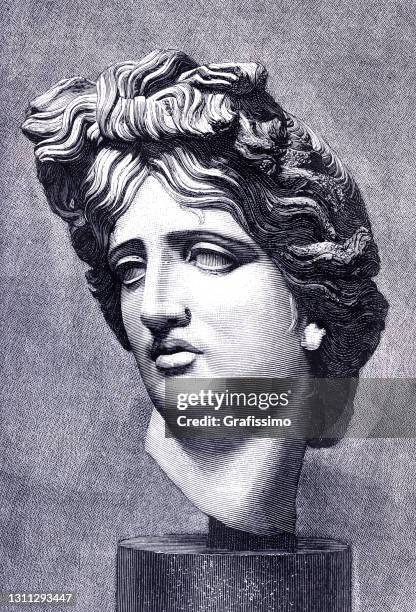 stockillustraties, clipart, cartoons en iconen met de god van apollo van muziek en dansportret - greek statue