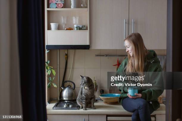 young woman and her tabby cat sitting on the kitchen table - cat bored stock pictures, royalty-free photos & images