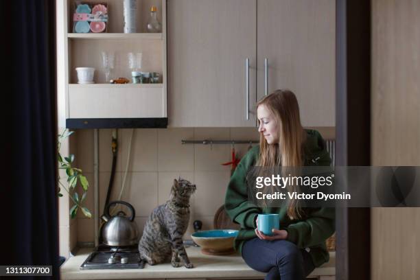 young woman looks at her cat holding the cup - cat bored stock pictures, royalty-free photos & images