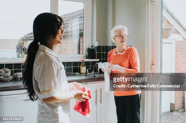 helpful young carer helps an elderly woman dry the dishes - people cleaning at home stock-fotos und bilder
