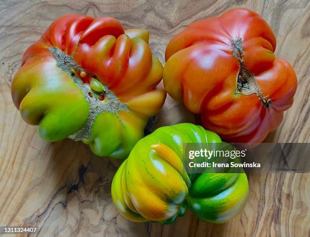 ugly tomatoes - deformiert stock-fotos und bilder