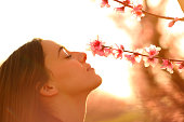 Profile of a woman smelling flowers in spring at sunset