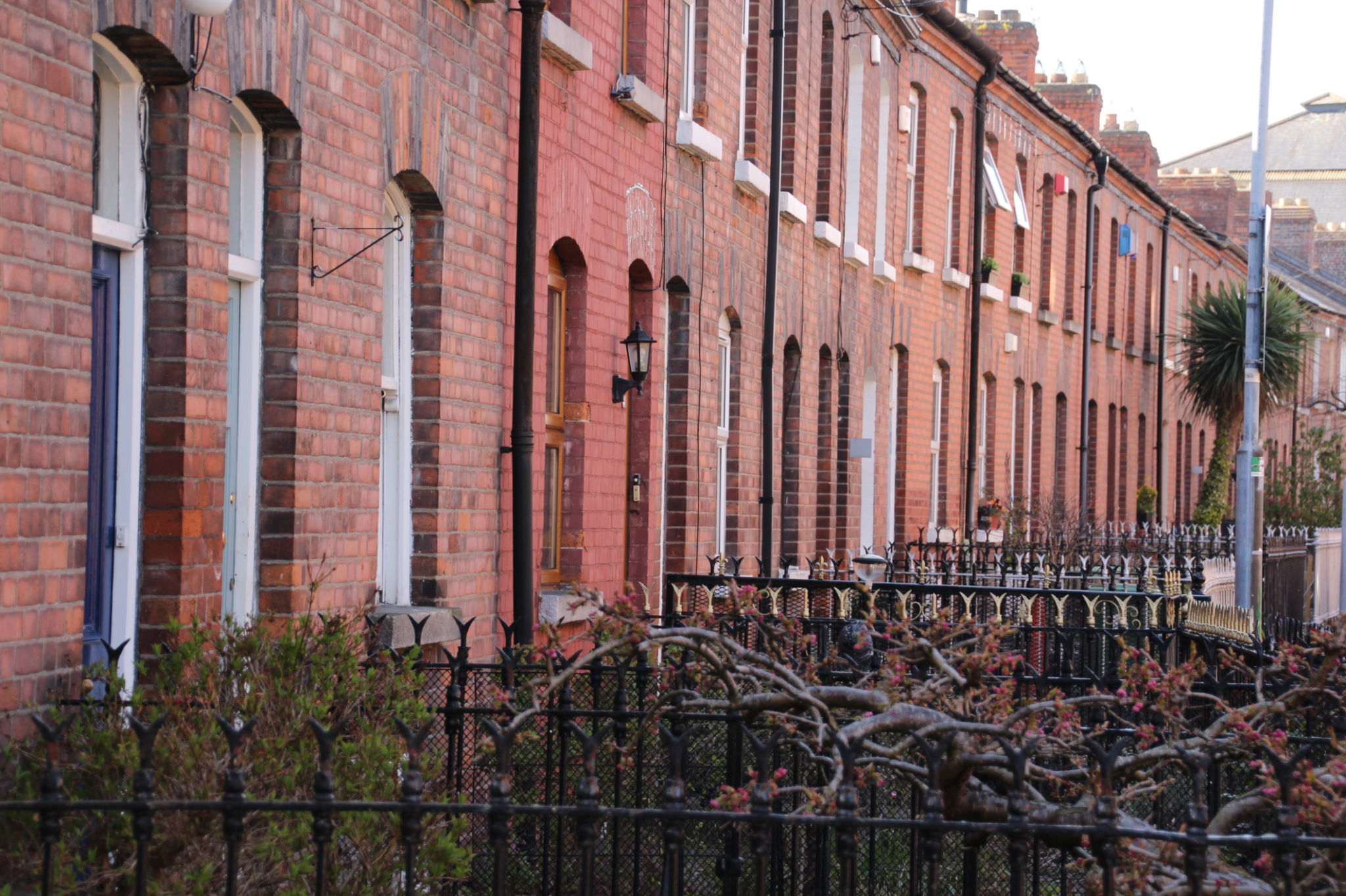 city housing dublin