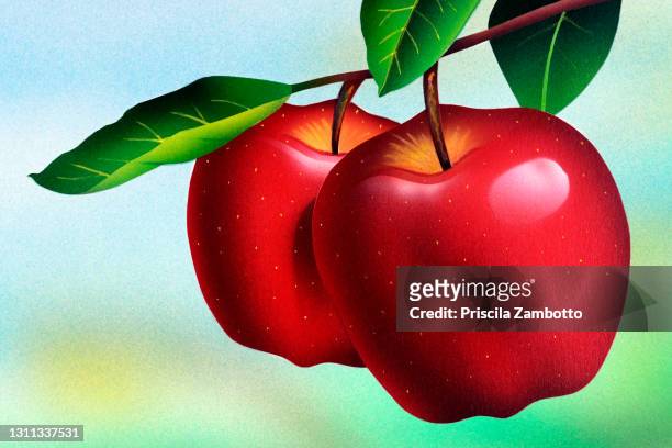 apples on apple tree - エアブラシ ストックフォトと画像