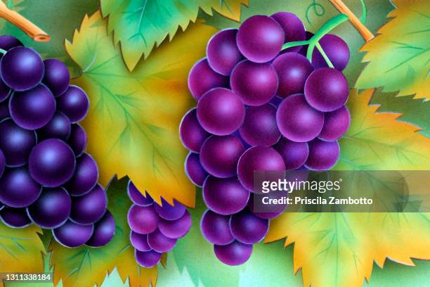 grapefruit - grapevine with grape clusters - airbrush stock-fotos und bilder