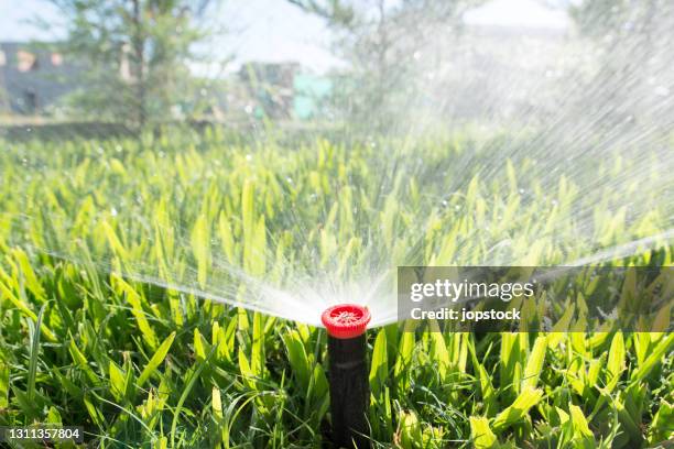 sprinkler in the garden - equipos de riego fotografías e imágenes de stock