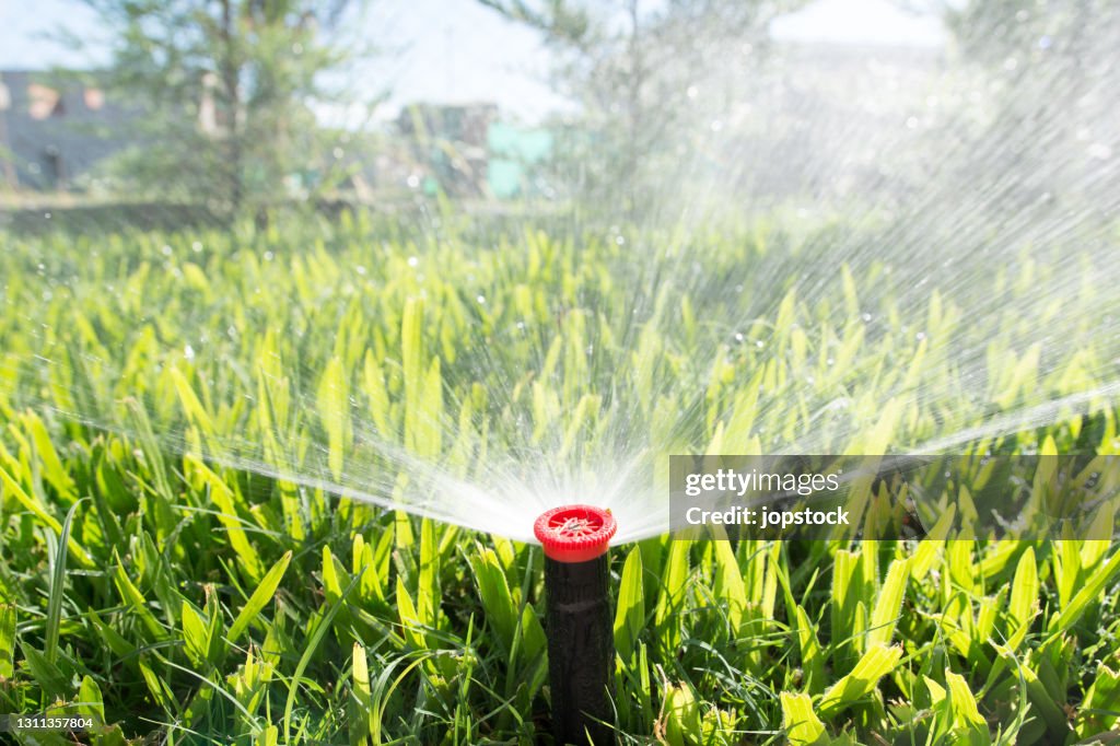 Sprinkler in the garden