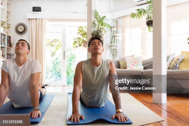 a gay couple do yoga in their home - auckland train bildbanksfoton och bilder