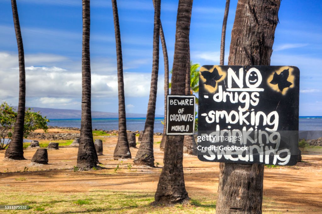 Warning signs under coconut palm trees