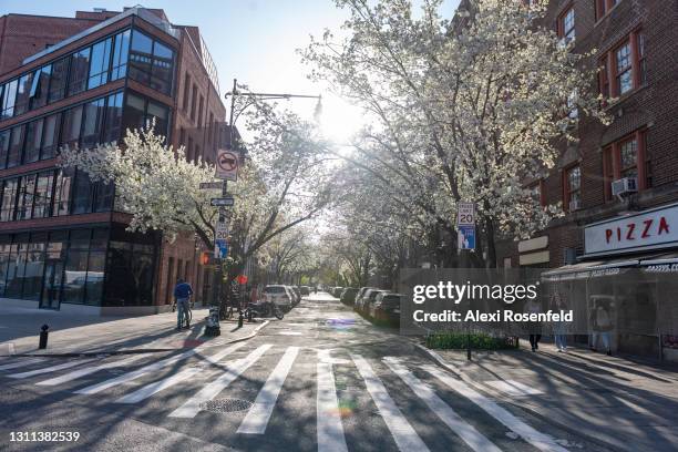 View of the sun casting shadows through Japanese Cherry Blossom trees lining a street in the West Village amid the coronavirus pandemic on April 07,...