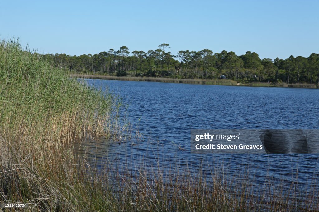 Grayton Beach State Park